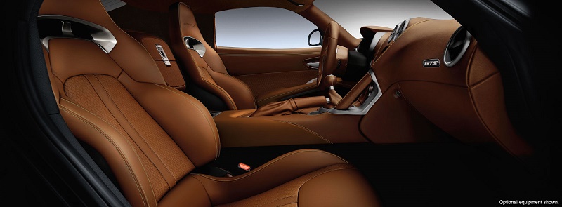 viper interior seatizer GTS option DippedSepiaLaguna