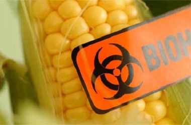biohazardcorn2